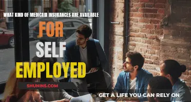 Self-Employed? Explore Medicaid Insurance Options