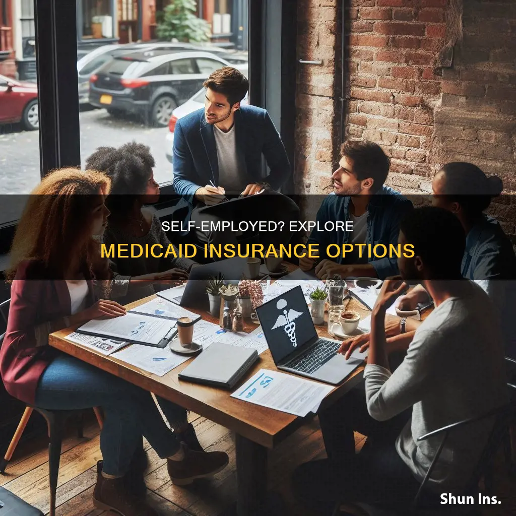 what kind of medicaid insurances are available for self employed