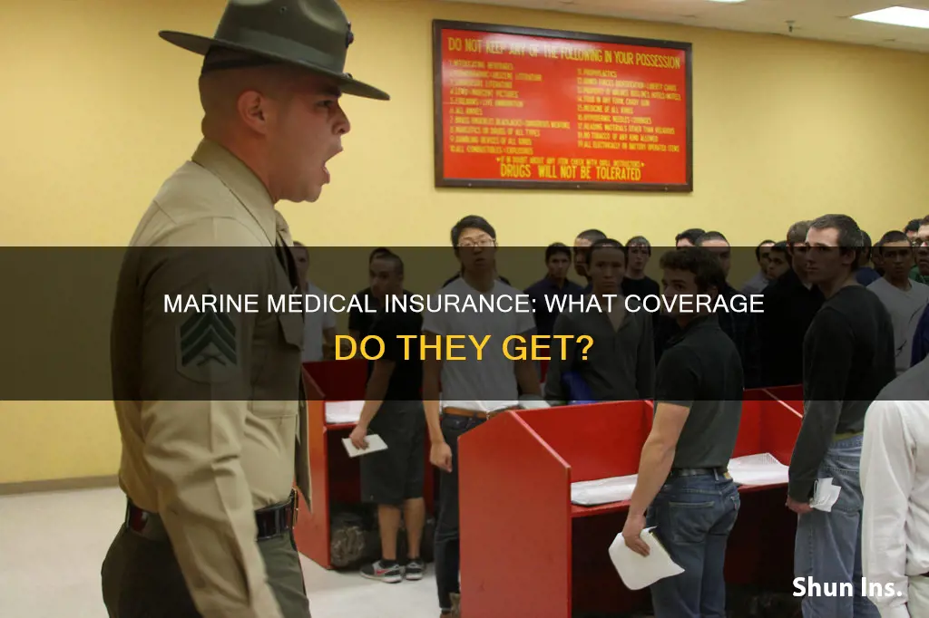 what kind of medical insurance do marines have