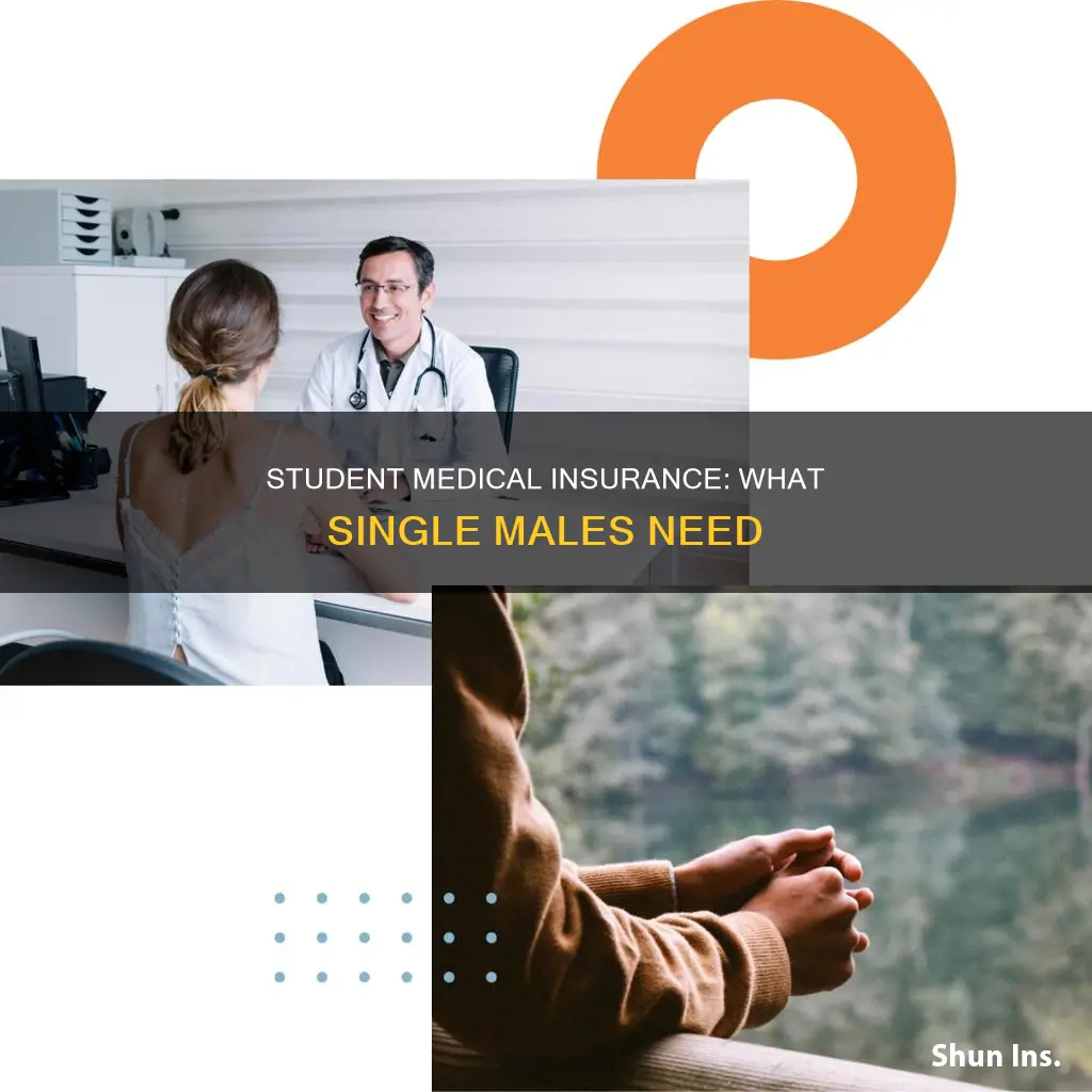 what kind of medical insurance for single student male