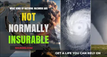 Natural Disasters: Uninsurable Hazards and Their Impact