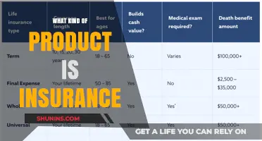 Understanding Insurance: A Service or a Product?