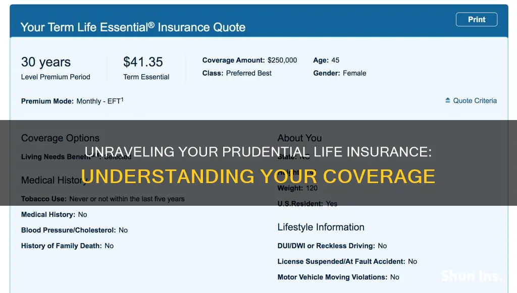 what kind of prudential life insurance do I have