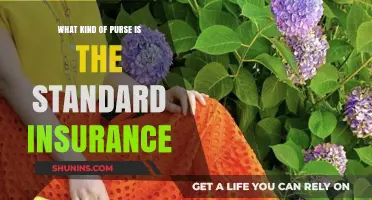 Understanding Standard Insurance Coverage for Your Purse