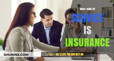 Understanding Insurance: A Service for Uncertain Times