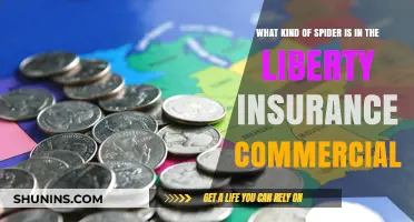 Spider in Liberty Insurance Ad: What Kind?