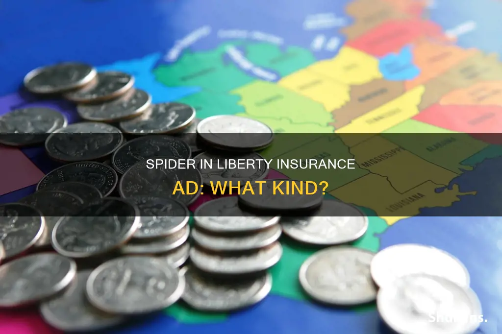 what kind of spider is in the liberty insurance commercial