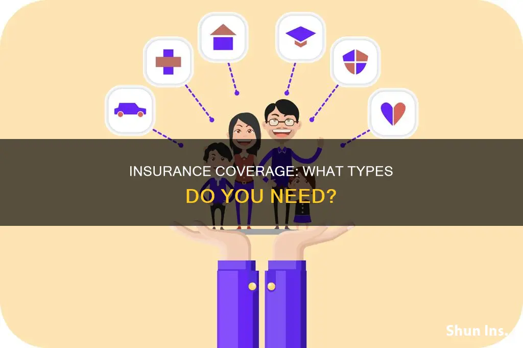 what kinds of insurance should you have