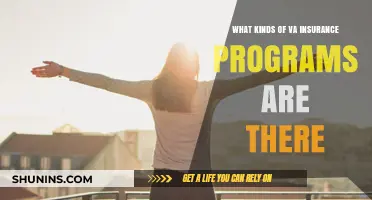 Explore VA Insurance Programs: Your Comprehensive Guide