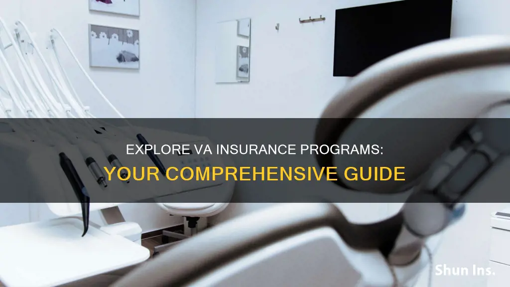 what kinds of va insurance programs are there