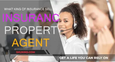 Insurance Property Agents: What Policies Do They Sell?