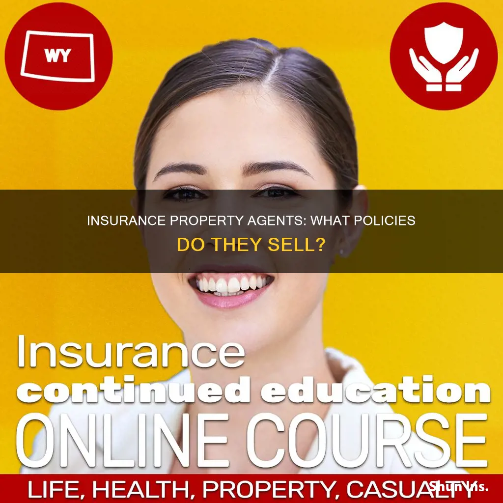 what king of insurance sell an insurance property agent