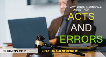 Insurance Agents: Bound by Law for Acts and Errors