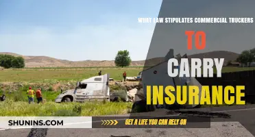 Trucker Insurance: What's the Law?