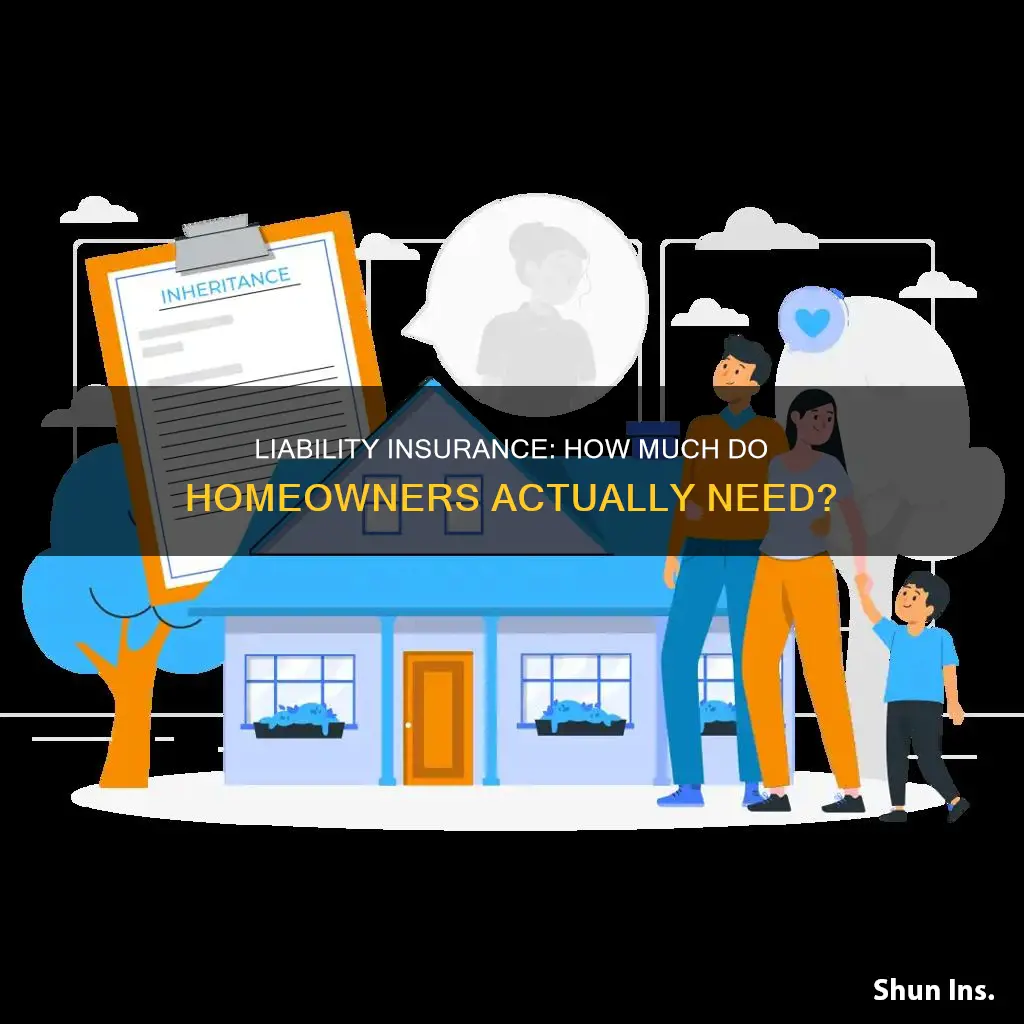 what level of liability insurance should homeowners carry