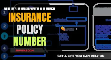 Understanding Your Medical Insurance: Policy Numbers and More