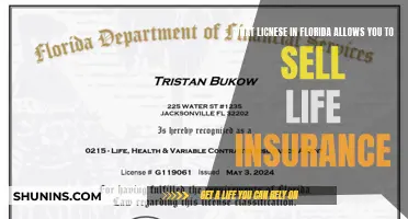 Unlocking Florida's Life Insurance Sales: The Essential License Guide