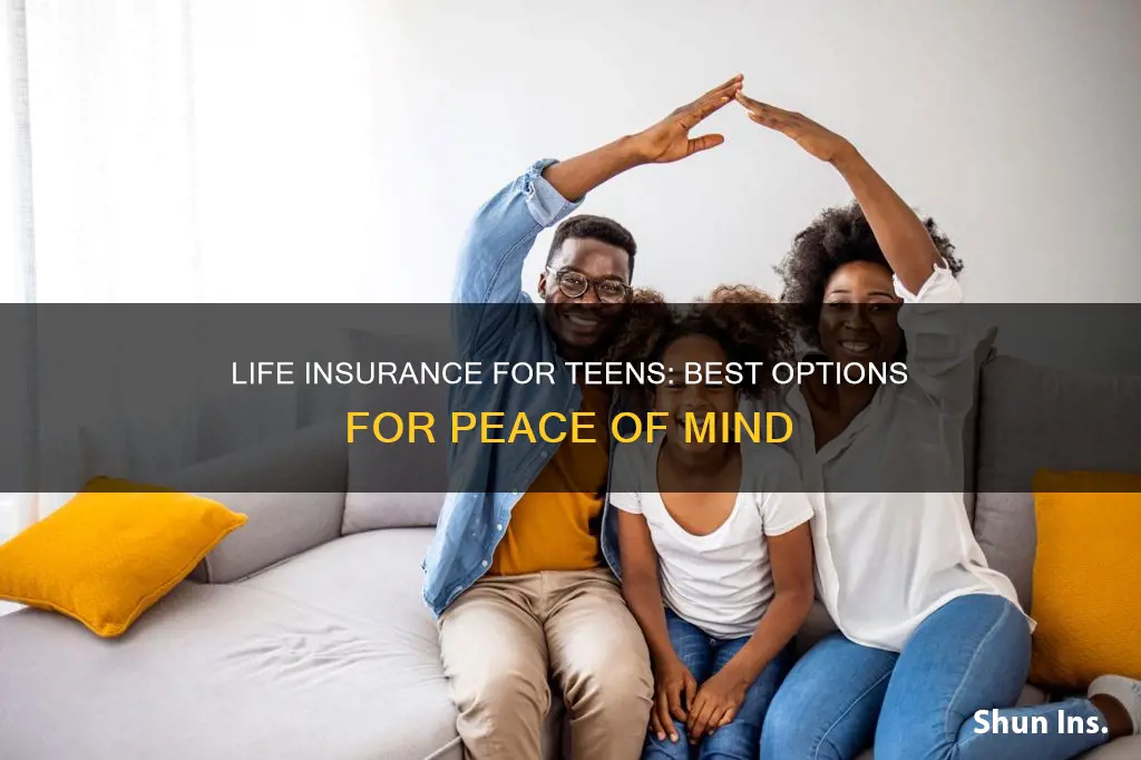 what life insuran is best for teen