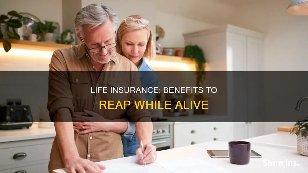 what life insurance can you use while alive