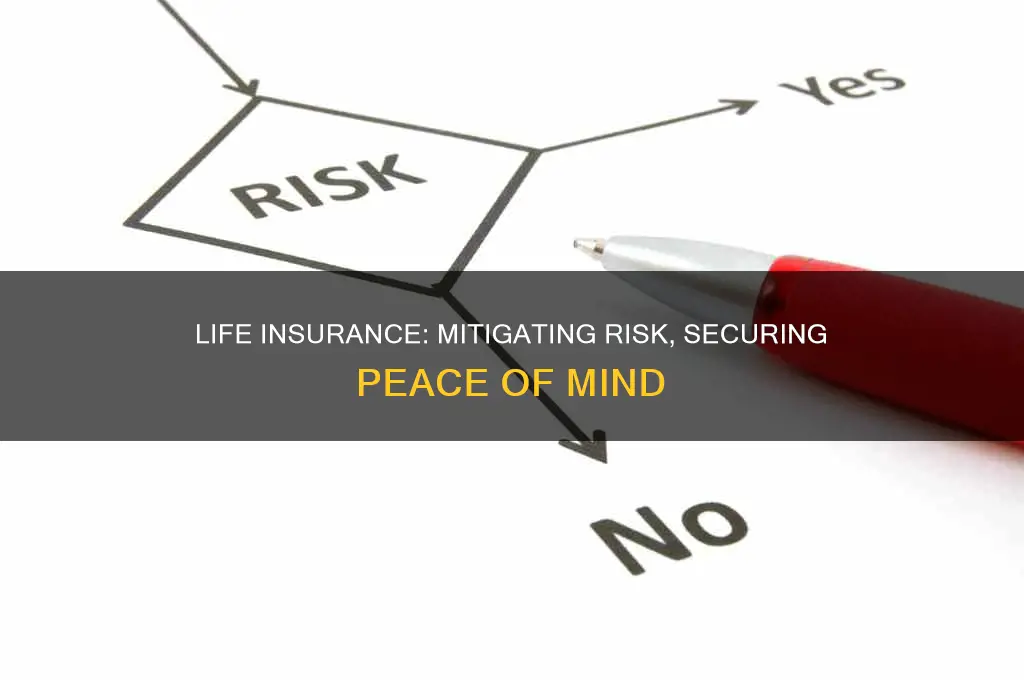 what life insurance contracts eliminate risk