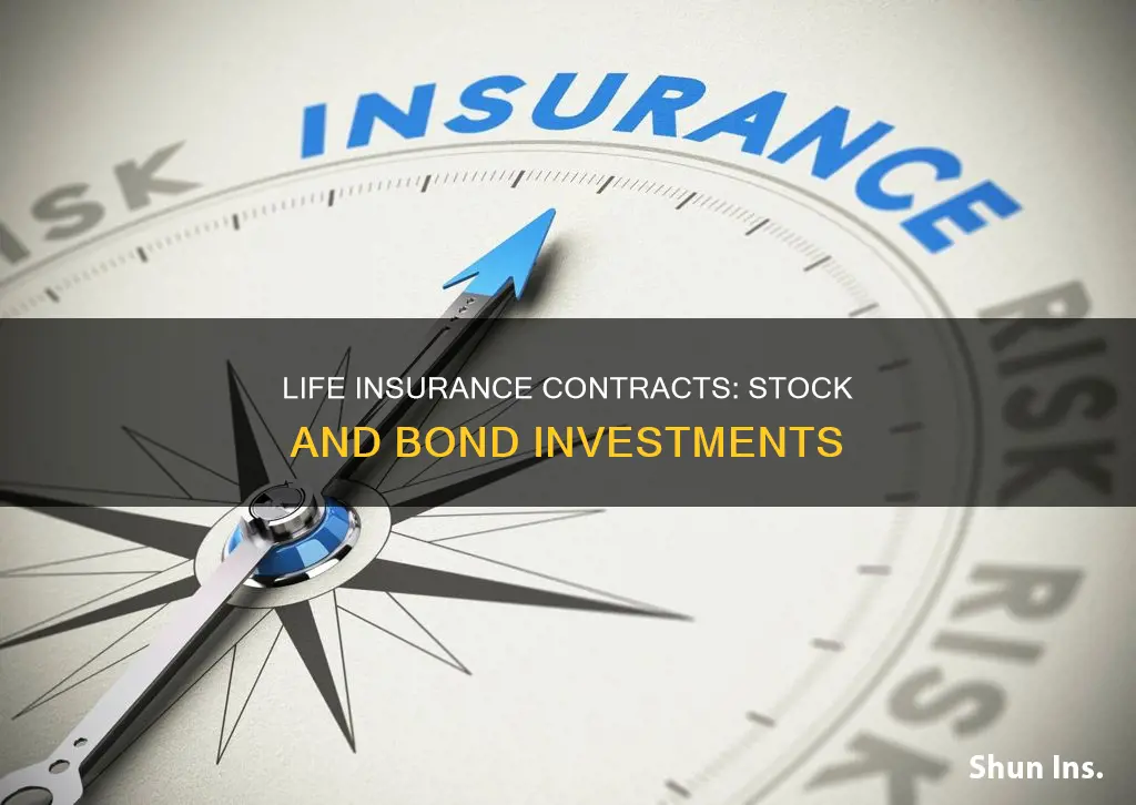 what life insurance contracts invest in stock and bonds