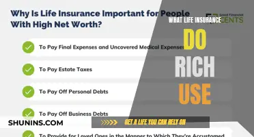 Wealthy Wisdom: Unveiling the Elite's Life Insurance Choices