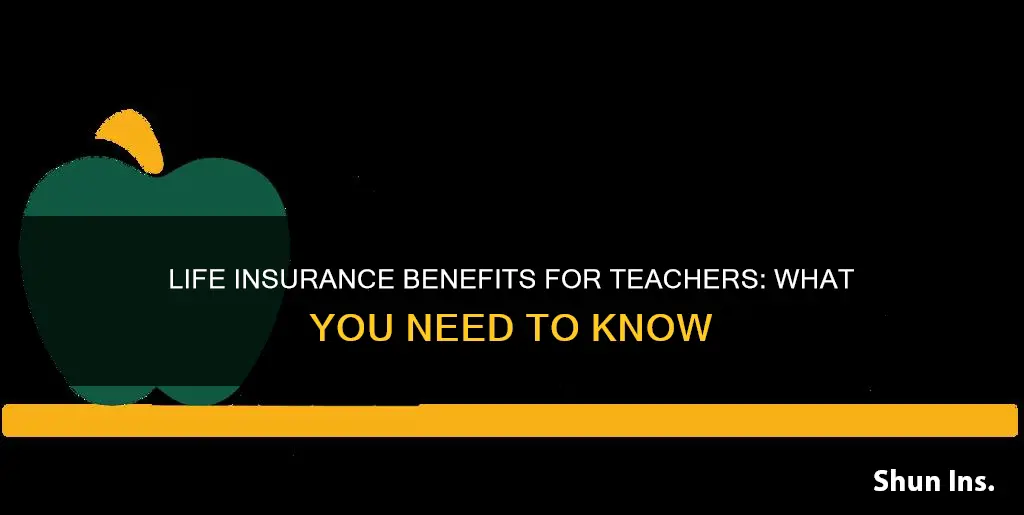 what life insurance do teachers get