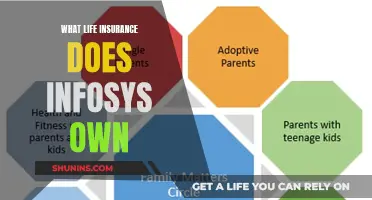 Unveiling Infosys' Life Insurance Portfolio: A Comprehensive Overview