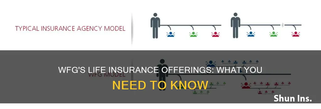 what life insurance does wfg sell
