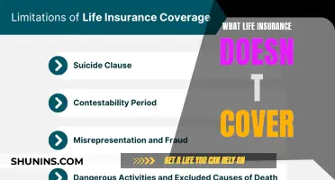 Life Insurance Gaps: What's Not Covered and Why