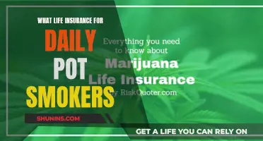 Life Insurance for Daily Pot Smokers: Navigating the Risks and Rewards