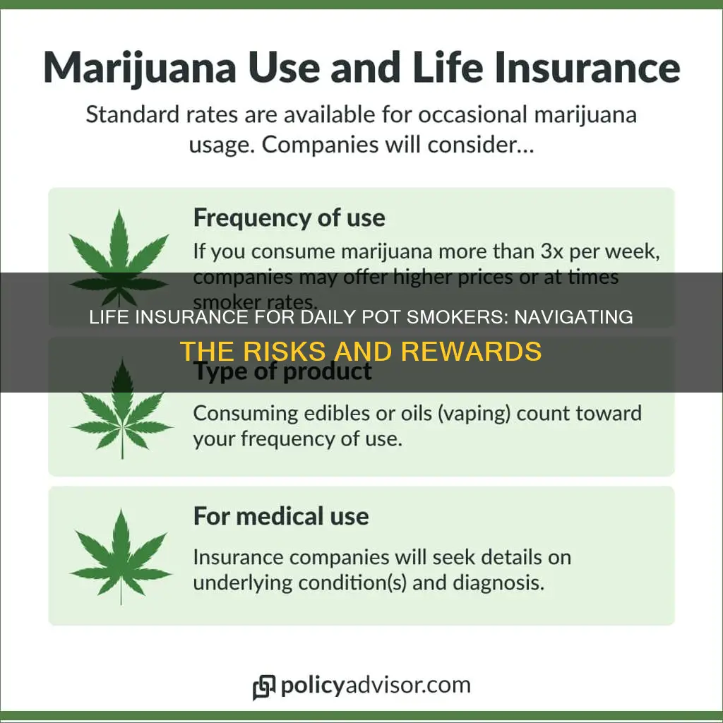 what life insurance for daily pot smokers