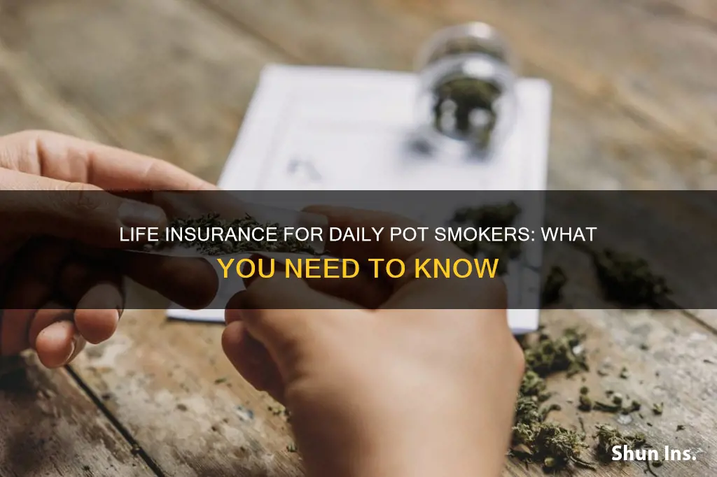 what life insurance for daily pot smokers