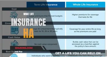 Life Insurance: Protecting Your Legacy, Securing Your Future