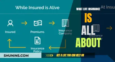 Understanding Life Insurance: A Comprehensive Guide to Financial Security