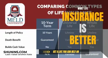 Life Insurance: Choosing the Right Policy for Your Needs