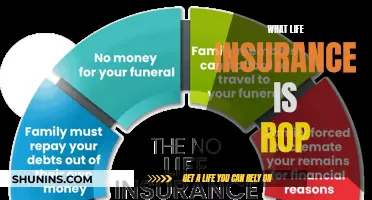 Understanding Life Insurance: A Comprehensive Guide to Its Benefits