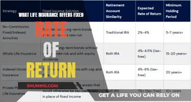 Life Insurance: Securing Your Future with Fixed Returns