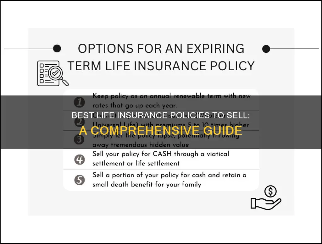 what life insurance pilicies can you sell