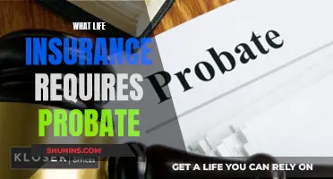 Life Insurance: Navigating Probate Requirements and Benefits