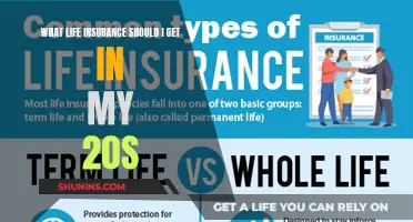 Life Insurance Choices for Your 20s: Navigating the Options