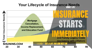 Immediate Coverage: Understanding Instant Life Insurance Benefits