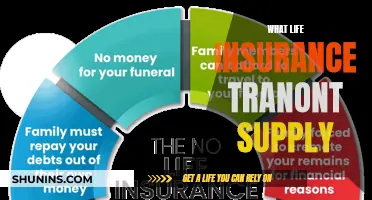 Life Insurance: Tranont's Comprehensive Coverage Solutions