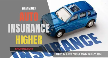 Auto Insurance Premiums: What Factors Drive Up Costs?