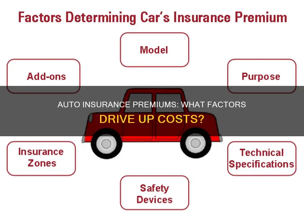 what makes auto insurance higher