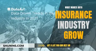 Auto Insurance Industry Growth: Factors and Future Insights