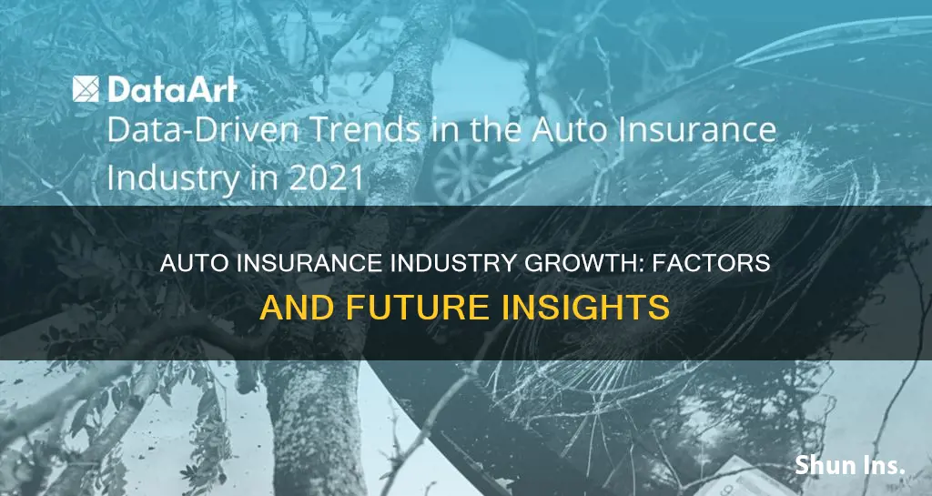 what makes auto insurance industry grow