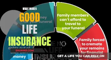 Key Factors for Choosing the Right Life Insurance Plan