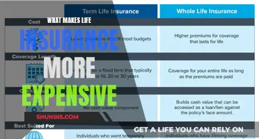 Unraveling the Cost: Factors Behind Skyrocketing Life Insurance Premiums