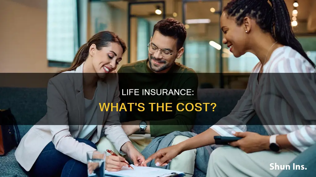 what makes life insurance more expensive